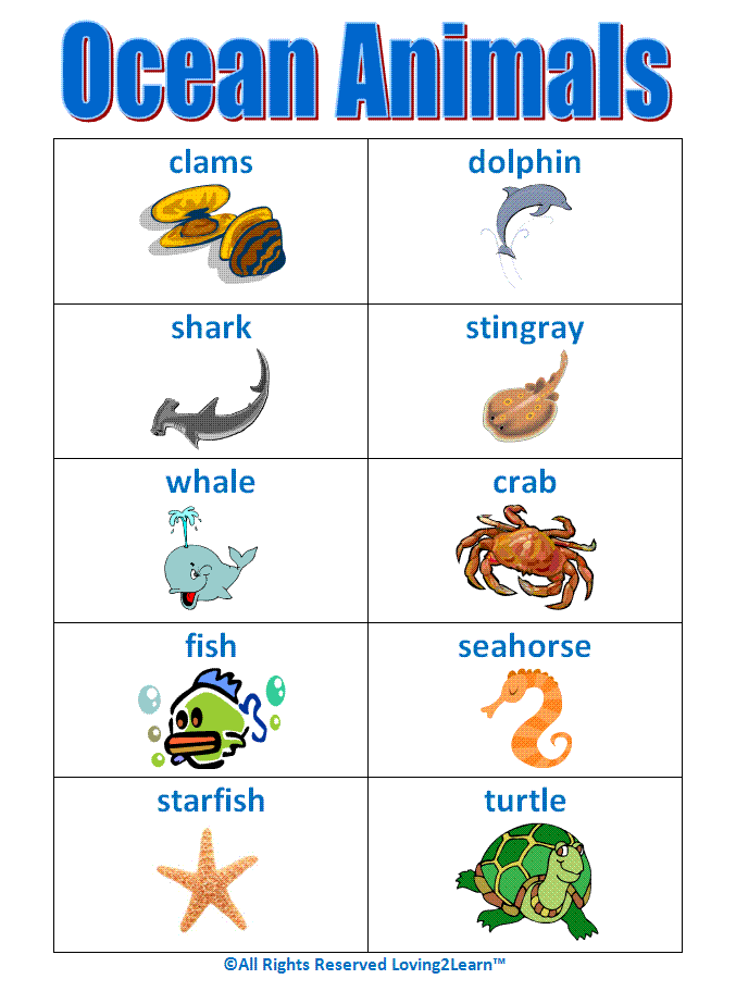 Learning New Words Ocean Creatures Words and Learning Videos